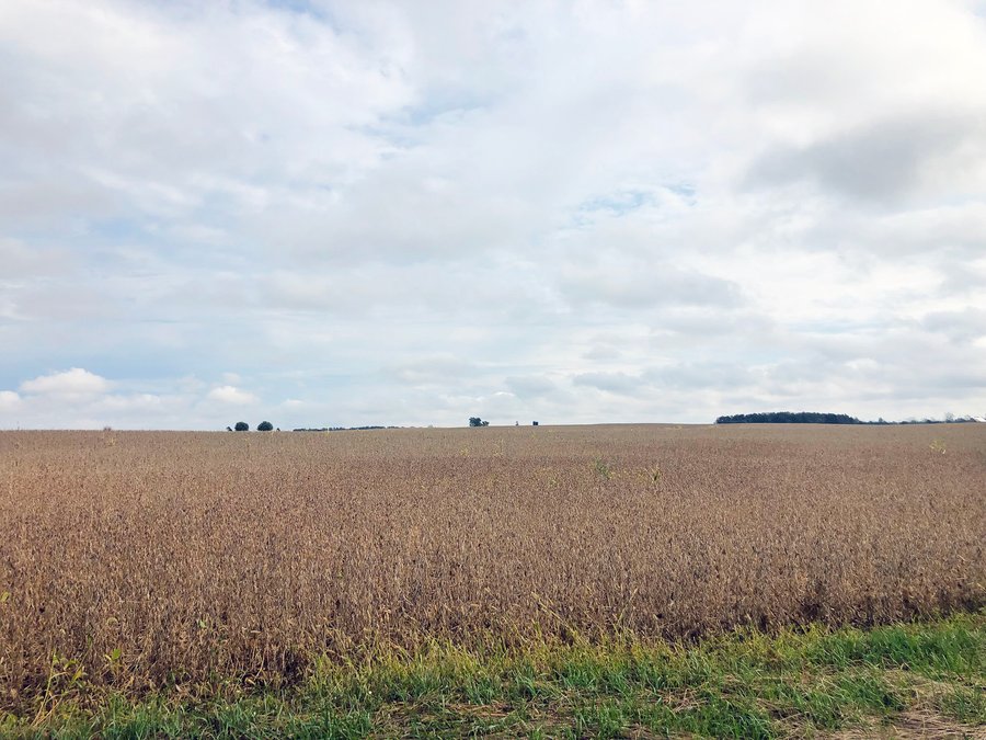 FARMLAND AUCTION - 76.15+/- ACRES IN 2 TRACTS IN RANDOLPH COUNTY, INDIANA